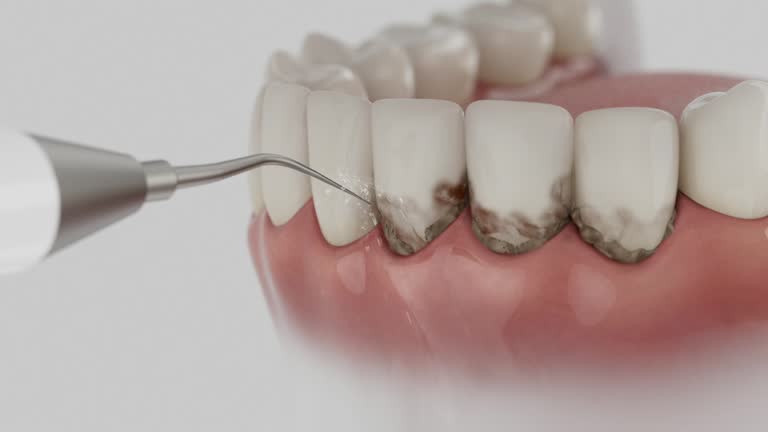Reliable Dental contractor in Ferry Pass, FL by Dentist Open Now